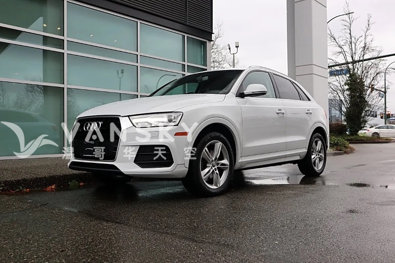 250219004545_图像 40.jpg